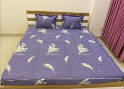 Bộ ga gối chun Olympia chần vải Cotton Hàn 26