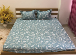Bộ ga gối chun Olympia chần vải Cotton Hàn 22