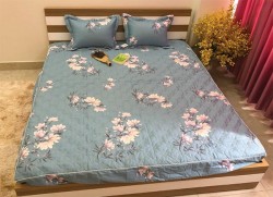 Bộ ga gối chun Olympia chần vải Cotton Hàn 20