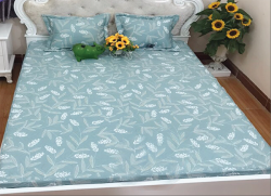 Chăn xuân thu Olympia vải Cotton Hàn 01
