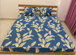 Chăn xuân thu Olympia vải Cotton Hàn 06