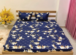 Chăn xuân thu Olympia vải Cotton Hàn 13