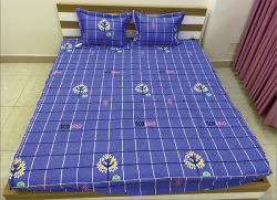 Chăn xuân thu Olympia vải Cotton Hàn 25