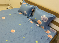 Chăn xuân thu Olympia vải Cotton Hàn 27