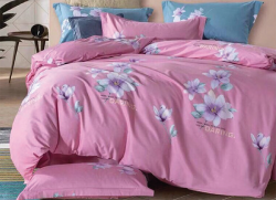 Chăn xuân thu Olympia vải Cotton Hàn 30