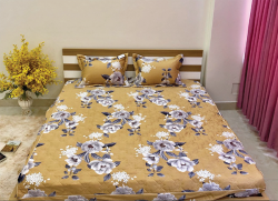 Chăn xuân thu Olympia vải Cotton Hàn 31