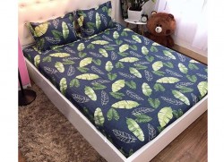 Ga gối chun Olympia Living OLV18