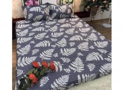 Ga gối chun Olympia Living OLV21