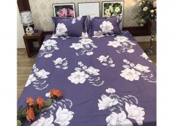 Ga gối chun Olympia Living OLV24