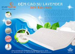 Đệm cao su Everhome Lavender
