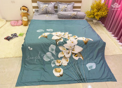 Bộ chăn ga gối Olympia Living OL06