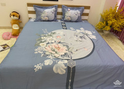 Bộ chăn ga gối Olympia Living OL07