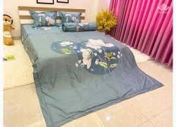 Bộ chăn ga gối Olympia Living OL08