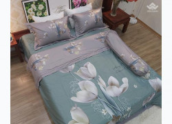 Bộ chăn ga gối Olympia Living OL09