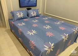 Vỏ chăn xuân thu Sông Hồng basic TC BT20020