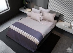 Chăn đông Sông Hồng Basic cotton BC20002
