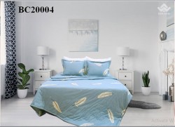 Chăn đông Sông Hồng Basic cotton BC20004 200x220cm