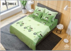 Chăn đông Sông Hồng Basic cotton BC20011