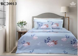 Chăn đông Sông Hồng Basic cotton BC20013