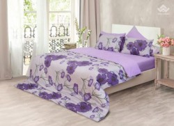 Chăn đông Sông Hồng Basic cotton BC20025