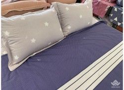 Vỏ gối Sông Hồng Basic cotton BC20002