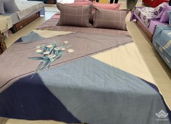 Vỏ gối Sông Hồng Basic cotton BC20003