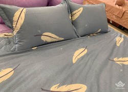 Vỏ gối Sông Hồng Basic cotton BC20004