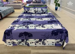 Vỏ gối Sông Hồng Basic cotton BC20010