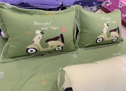 Vỏ gối Sông Hồng Basic cotton BC20011