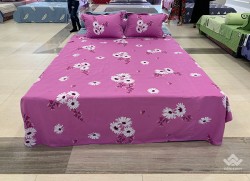 Vỏ gối Sông Hồng Basic cotton BC20014