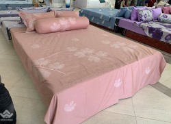 Vỏ gối Sông Hồng Basic cotton BC20016