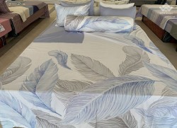 Vỏ gối Sông Hồng Basic cotton BC20022
