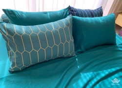 Vỏ gối Sông Hồng Basic cotton BC20024