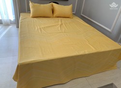 Vỏ gối Sông Hồng Basic cotton BC20028