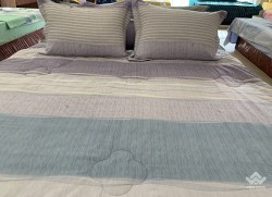 Vỏ gối Sông Hồng Basic sợi gỗ BR20005