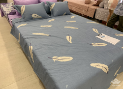 Vỏ gối ôm Sông Hồng Basic cotton BC20004