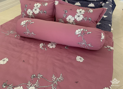 Vỏ gối ôm Sông Hồng Basic cotton BC20012