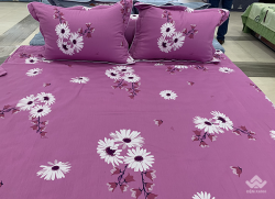 Vỏ gối ôm Sông Hồng Basic cotton BC20014