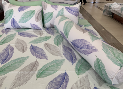 Vỏ gối ôm Sông Hồng Basic cotton BC20021