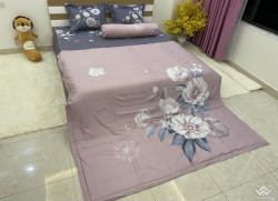 Bộ chăn ga gối Olympia Living OL14