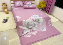 Bộ chăn ga gối Olympia Living OL18