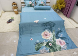 Bộ chăn ga gối Olympia Living OL19