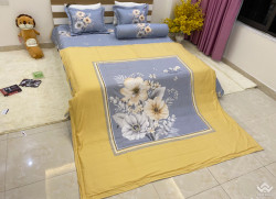 Bộ chăn ga gối Olympia Living OL21