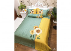Bộ chăn ga gối Olympia Living OL23
