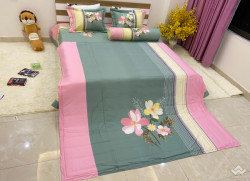 Bộ chăn ga gối Olympia Living OL24