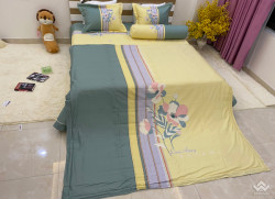 Bộ chăn ga gối Olympia Living OL26