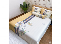 Bộ chăn ga gối Olympia Living OL27
