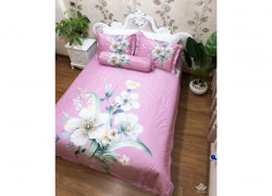 Bộ chăn ga gối Olympia Living OL28