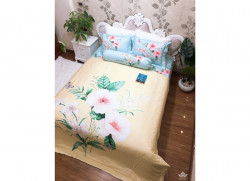 Bộ chăn ga gối Olympia Living OL43