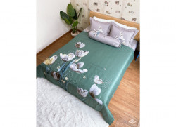 Bộ chăn ga gối Olympia Living OL48